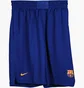 Шорты мужские Nike Fcb Replica Blue CV8405-455