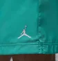 Шорты унисекс Air Jordan Poolsd Lbr 5In Turquoise HF9371-392