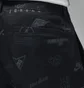 Штани чоловічі Air Jordan Flight Heritage Black Dv7559-010