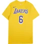 Футболка мужская Nike Nba Los Angeles Lakers Lebron James Yellow CV8528-745