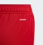 Шорты детские Adidas Tiro 24 Red IR9367