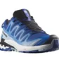 Кроссовки мужские Salomon Xa Pro 3D V9 Blue L47272100