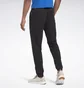 Штаны мужские Reebok Training Essentials Linear Logo Joggers Fp9130 Black