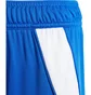 Шорты детские Adidas Tiro 24 Blue IR9366