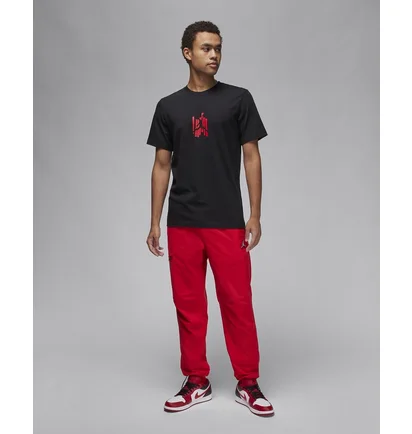 Футболка мужская Air Jordan Brand Graphic T-Shirt Black FD7025-010