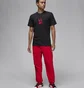 Футболка мужская Air Jordan Brand Graphic T-Shirt Black FD7025-010