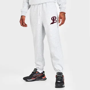 Штаны мужские Puma Team Official Emblem Graphic Sweatpants White 538901-04