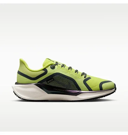 Кросівки жіночі Nike Pegasus 41 Gore Tex Green FQ1357-300