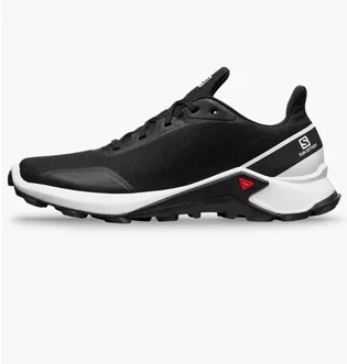 Кросівки чоловічі Salomon Alphacross Black L40731900