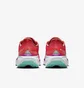 Кроссовки мужские Nike Air Zoom Pegasus 41 Gtx Red HM8872-600