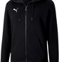 Толстовка мужская Puma Teamgoal 23 Casuals Hoodie Black 656708-03