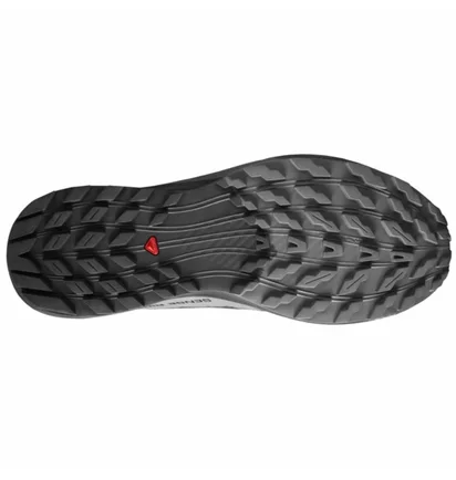 Кросівки чоловічі Salomon Sense Ride 5 Gtx Black 471472