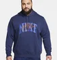 Худі чоловіче Nike Club Fleece Pullover Hoodie Blue FV4447-410