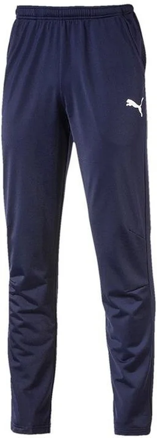 Штани чоловічі Puma Liga Core Training Blue 655770-006