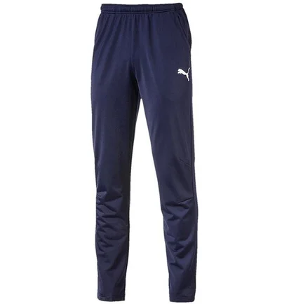 Штани чоловічі Puma Liga Core Training Blue 655770-006