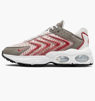Кроссовки мужские Nike Air Max Tw Beige Dq3984-002