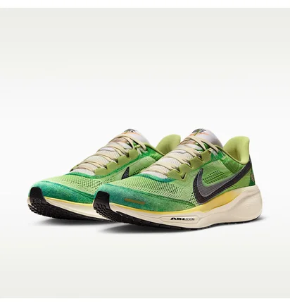 Кросівки чоловічі Nike Air Zoom Pegasus 41 Se International Running Pack Green IH3583-999