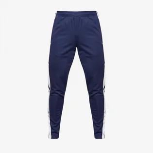Штаны мужские Adidas Squadra 21 Training Pants Blue HC6273