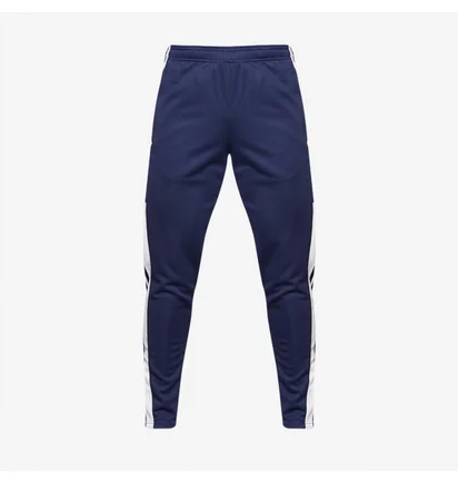 Штаны мужские Adidas Squadra 21 Training Pants Blue HC6273