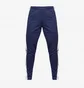 Штаны мужские Adidas Squadra 21 Training Pants Blue HC6273