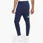 Штаны мужские Nike Pant Cargo Air Prnt Pack Blue Dd9696-410