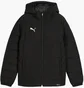 Куртка детская Puma Team Additions Black 659738-03