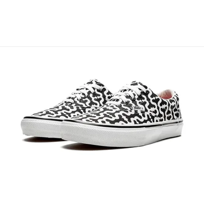 Кеды унисекс Vans Skate Era White/Black VN0A5KRV5XH