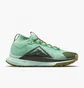 Кроссовки мужские Nike Pegasus Trail 4 Gore-Tex Turquoise DJ7926-301