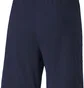 Шорти чоловічі Puma Teamfinal 21 Knit Shorts Black 70425706