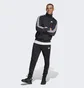 Спортивний костюм чоловічий Adidas Sportswear Basic 3-Stripes Tricot Track Suit Set Black Ic6747