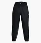 Штани чоловічі Under Armour Project Rock Black 1377426-001
