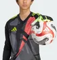 Перчатки вратарские Adidas Copa Gl Pro Green/Black JN5334