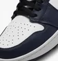 Кросівки унісекс Air Jordan Air 1 Low G White/Blue DD9315-104
