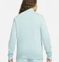 Кофта чоловіча Nike Sportswear Club MenS Brushed-Back 1/2-Zip Pullover Turquoise DD4732-309