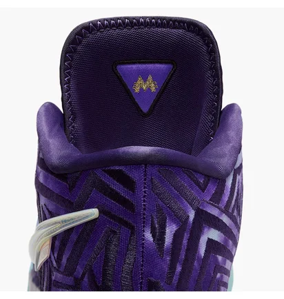 Кроссовки мужские Nike Lbj Nxxt Genisus Qs Violet IB1272-501