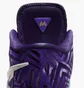 Кроссовки мужские Nike Lbj Nxxt Genisus Qs Violet IB1272-501