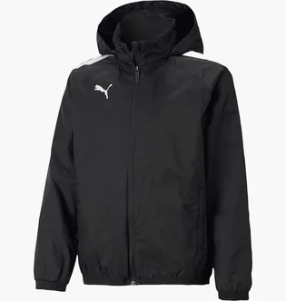Куртка мужская Puma Hooded Jacket Teamliga All Weather Jkt Jr Black 657246-03