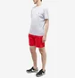 Шорти чоловічі Nike Swim 7 Volley Short Red NESSA559-614