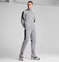 Олімпійка чоловіча Puma Mercedes-Amg Petronas F1® Mt7+ Track Jacket Grey 627316-02