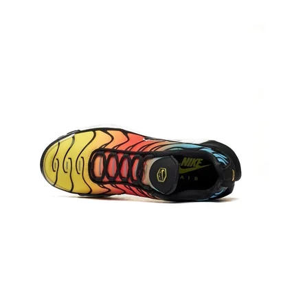Кроссовки мужские Nike Air Max Plus MenS Shoes Black/Multi HV2526-001