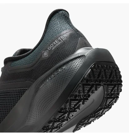 Кросівки чоловічі Nike Air Zoom Pegasus 41 Gtx Black FQ1356-001