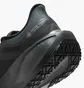 Кросівки чоловічі Nike Air Zoom Pegasus 41 Gtx Black FQ1356-001