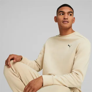 Свитшот мужской Puma Rad/Cal Beige 673317-88