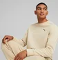 Світшот чоловічий Puma Rad/Cal Beige 673317-88