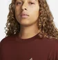 Лонгслів чоловічий Nike Dri-Fit Acg Goat Rocks Long-Sleeve Top Brown DO9269-217