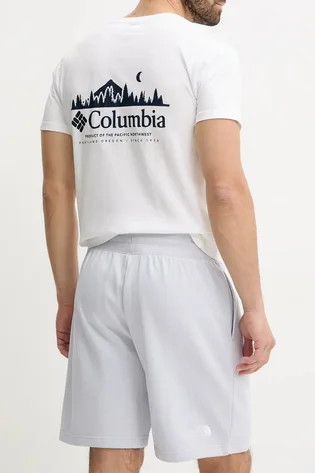 Шорти чоловічі The North Face Essential Relaxed Shorts Grey 0A8C2G0TI1
