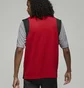 Футболка мужская Air Jordan Sport Dri-Fit Red/Black Dm1831-010