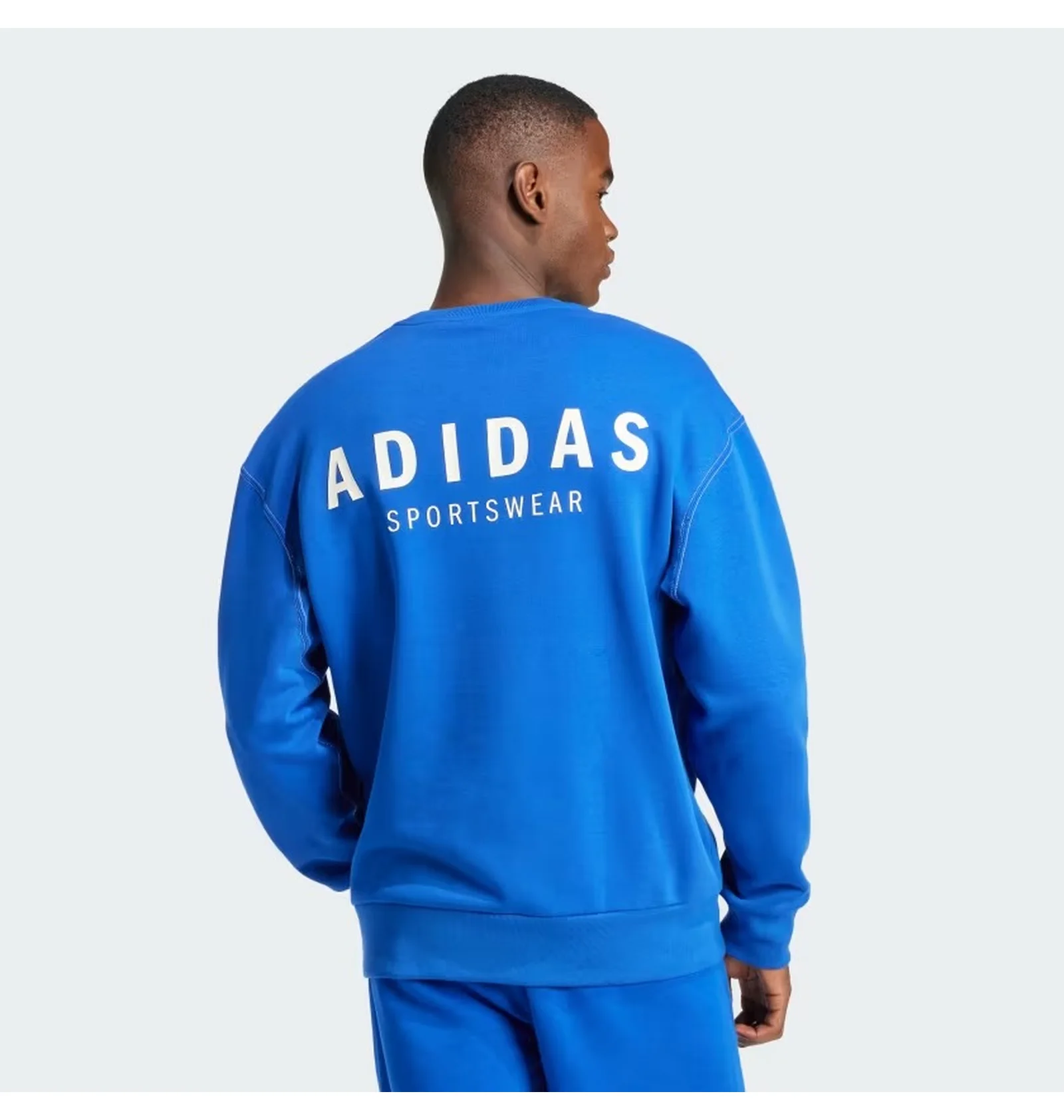 ᐉ Свитшот мужской Adidas All Szn Fleece Graphic Blue JJ3669