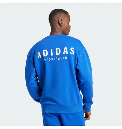 Свитшот мужской Adidas All Szn Fleece Graphic Blue JJ3669