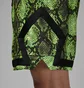 Шорты мужские Air Jordan Dri-Fit Mesh Diamond Green HF9907-358
